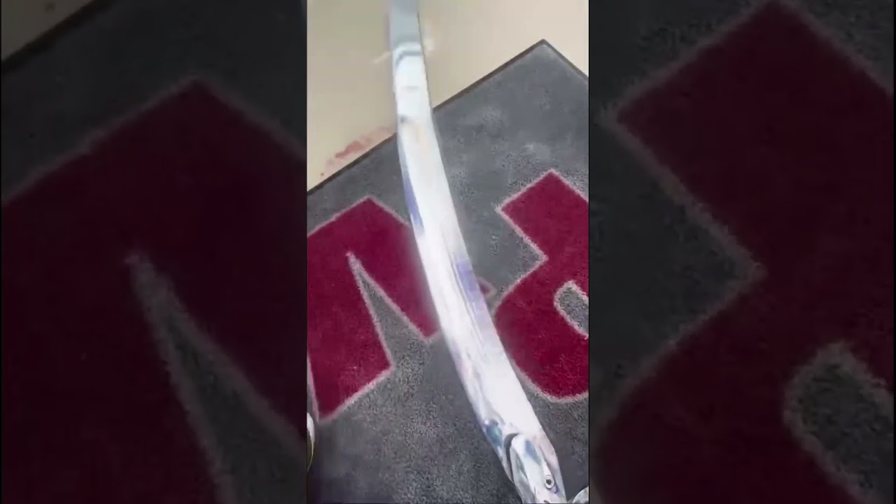 Insane Ribbon Fish Caught in San Diego! Rare Deep-Sea Creature&rsquo;s Bizarre Beauty Unveiled-Pac Voyager