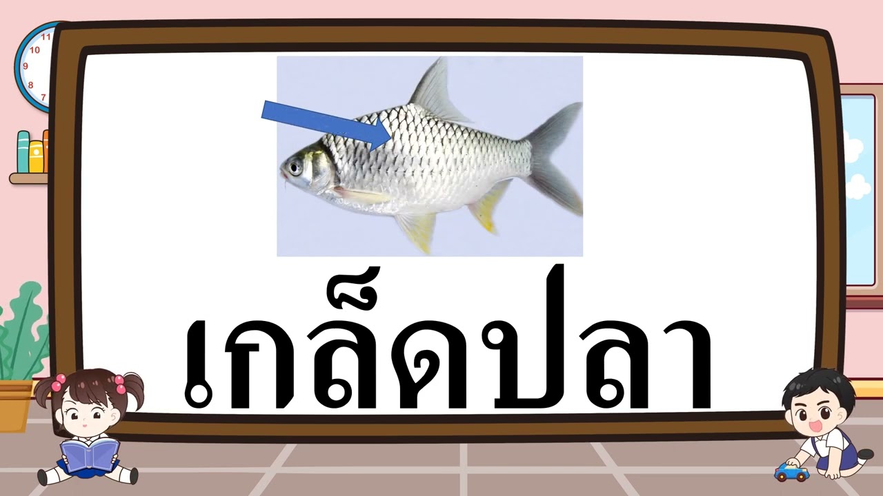 8 ก พ 65