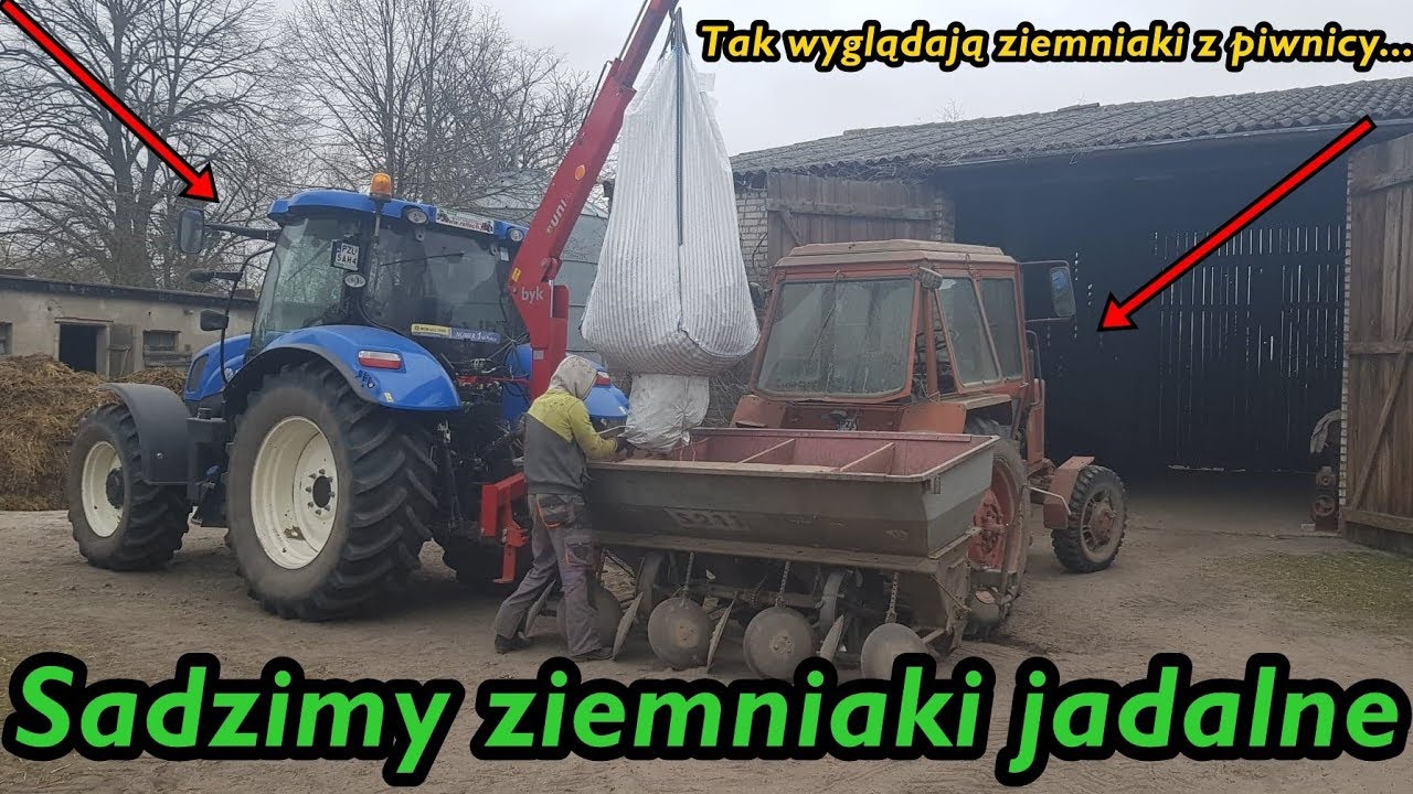 Sadzimy ziemniaki jadalne z piwnicy! | Ostatni film z sadzenia | Podsumowanie.