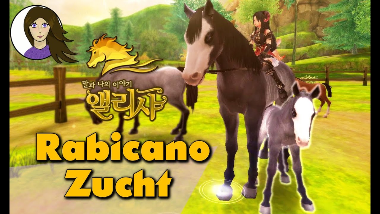Black Rabicano Zucht ★ ALICIA ONLINE FOHLEN #06