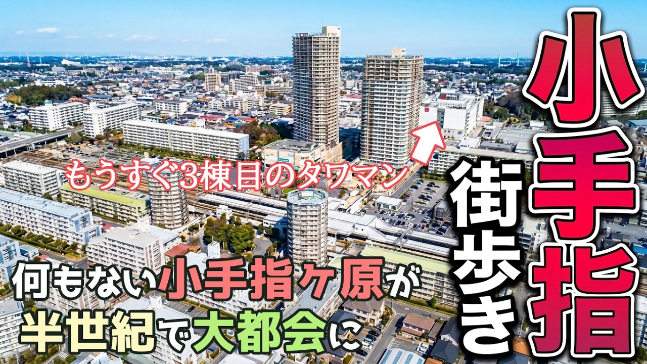 小手指駅を街歩き　西武池袋線の主要駅は50年前まで何もない小手指ヶ原でしたが西武の大開発でタワマンが立つ大ベッドタウンに激変
