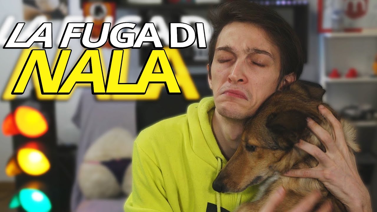 IL mio cane è SCAPPATO... i 2 minuti più BRUTTI della mia VITA