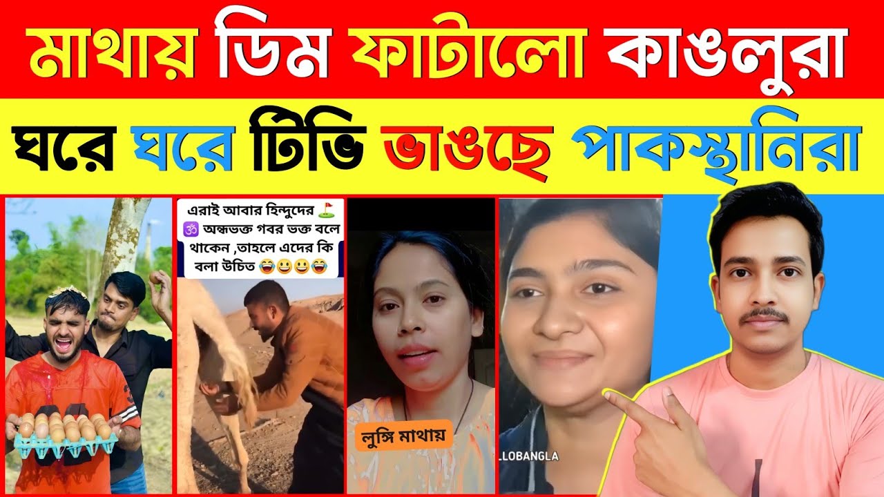 মাথায় ডিম ফাটালো কাঙ্গালুরা আর ঘরে ঘরে টিভি ভাঙছে পাকিস্থানিরা Bangladesh Roasting Video 