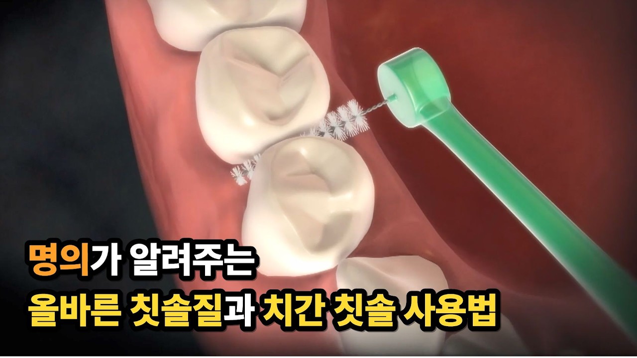 올바른 칫솔질과 치간 칫솔 사용법🪥 딱! 알려드림 | #명의
