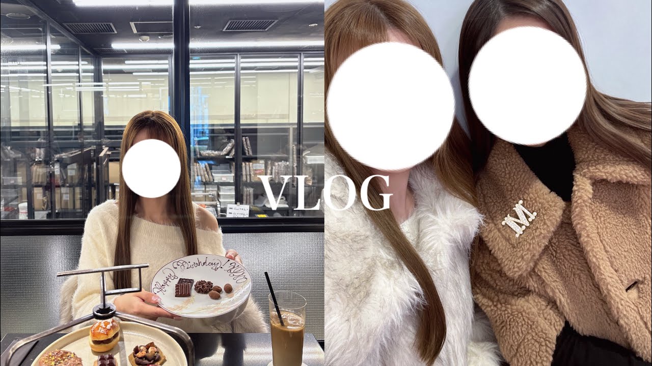 【vlog】妹の誕生日お祝い|ヌン活|平成プリ|ガチャガチャ
