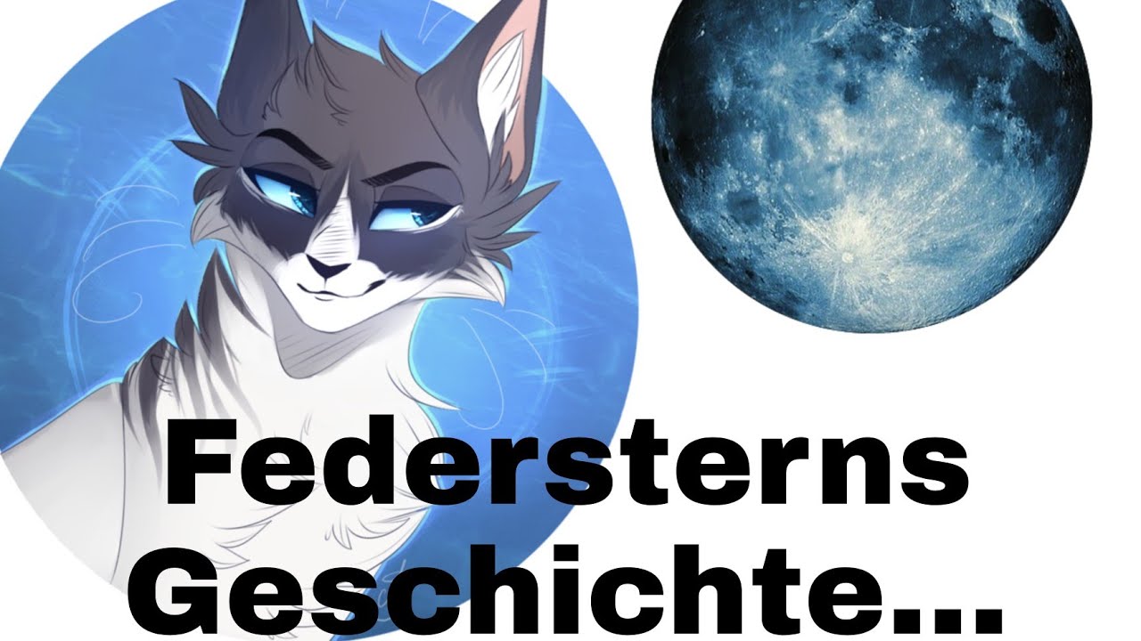 Federsterns Geschichte....