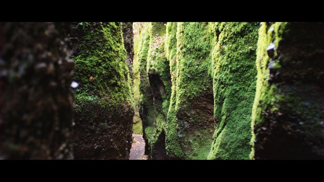 4.5K Canon EOS M RAW Video | Carl Zeiss Jena Prakticar 35mm 1:2.4 MC | Drachenschlucht