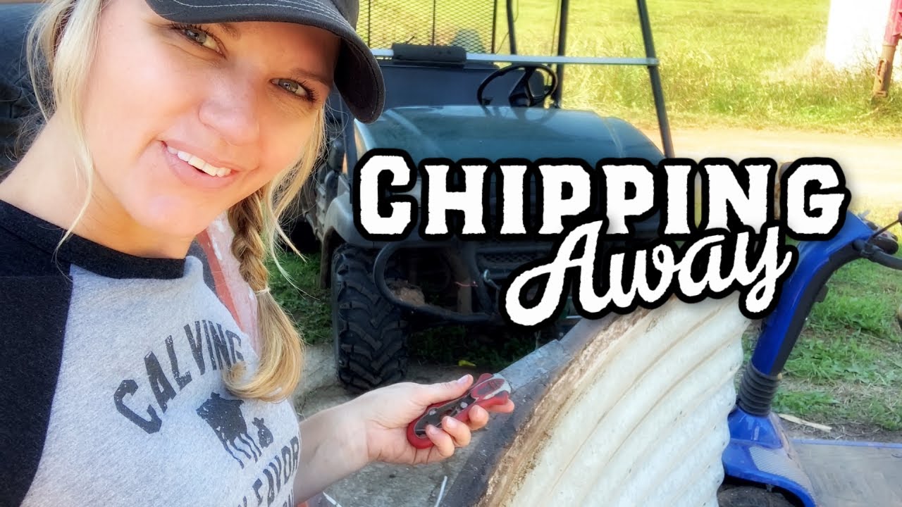 Will We Finish This Bin Before the Beans Can Get Combined?!