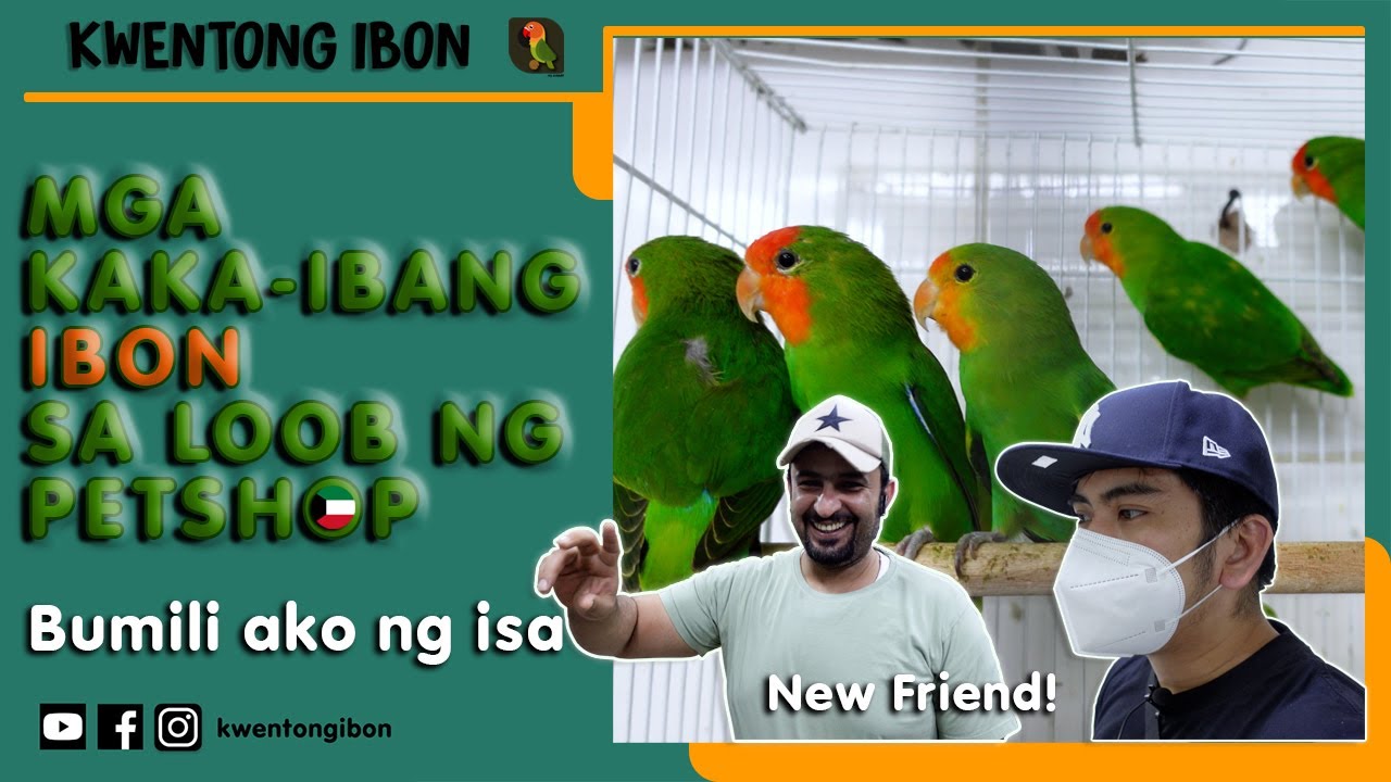 MGA KAKA-IBANG IBON SA LOOB NG PETSHOP SA KUWAIT! NAPA-BILI AKO NG ISA | PART 1