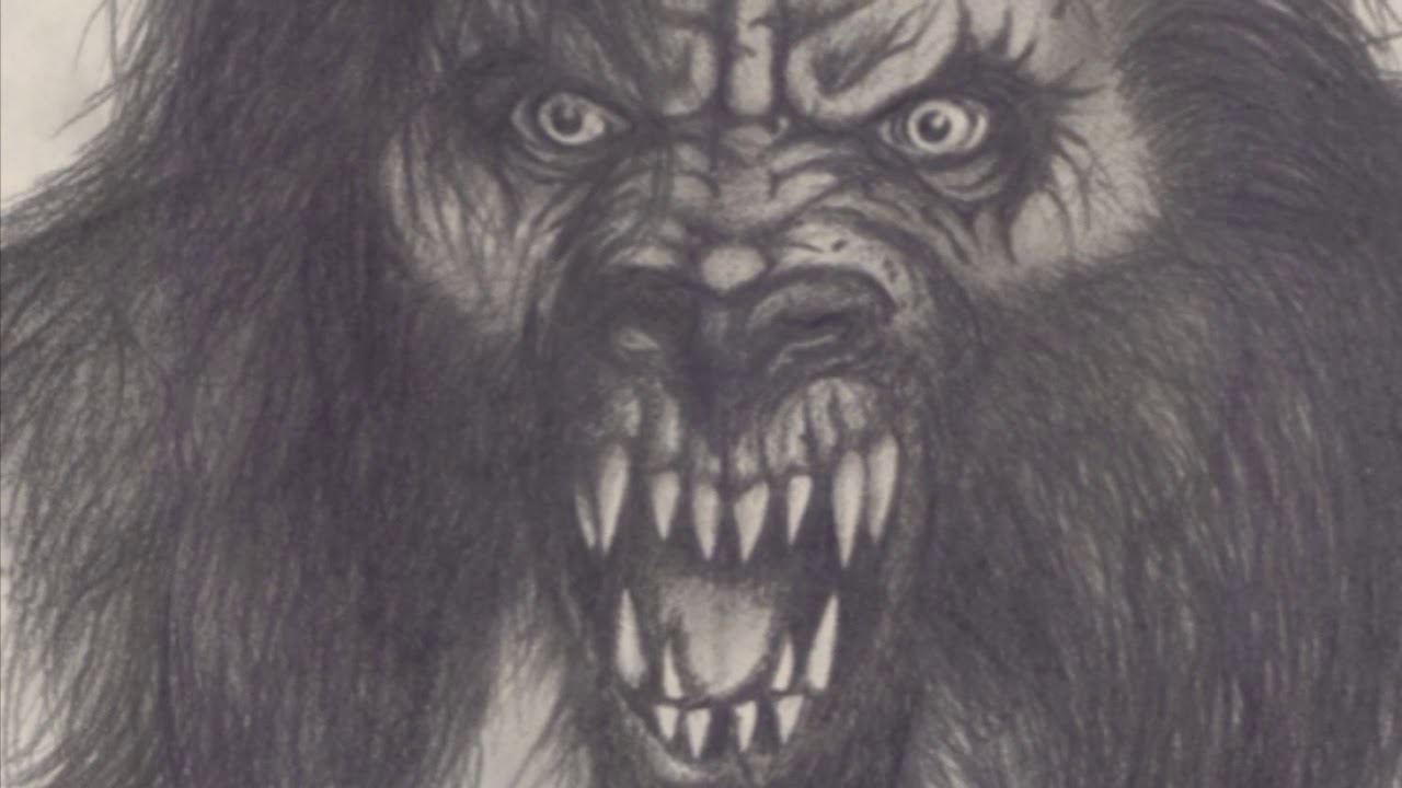 What Is: Dogman
