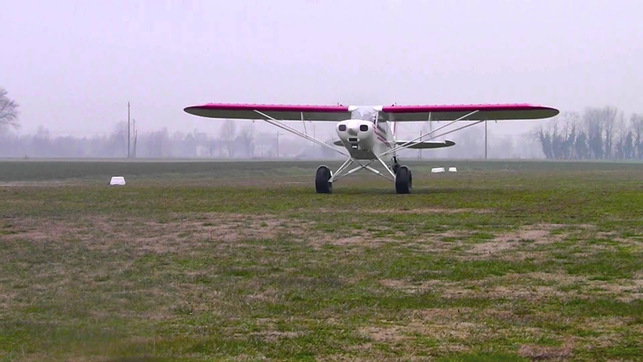 Savage Cub S