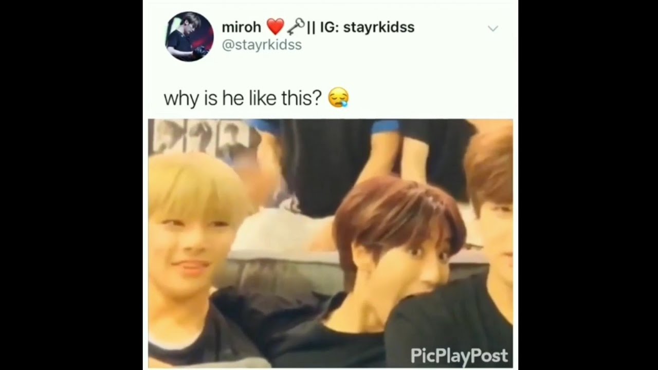 Kpop Memes That Made My Tea Spicy
