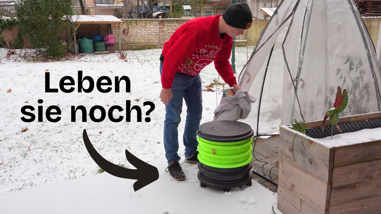 Wurmfarm-Check nach K&auml;lteeinbruch: Wie gehts den Winter-W&uuml;rmern?