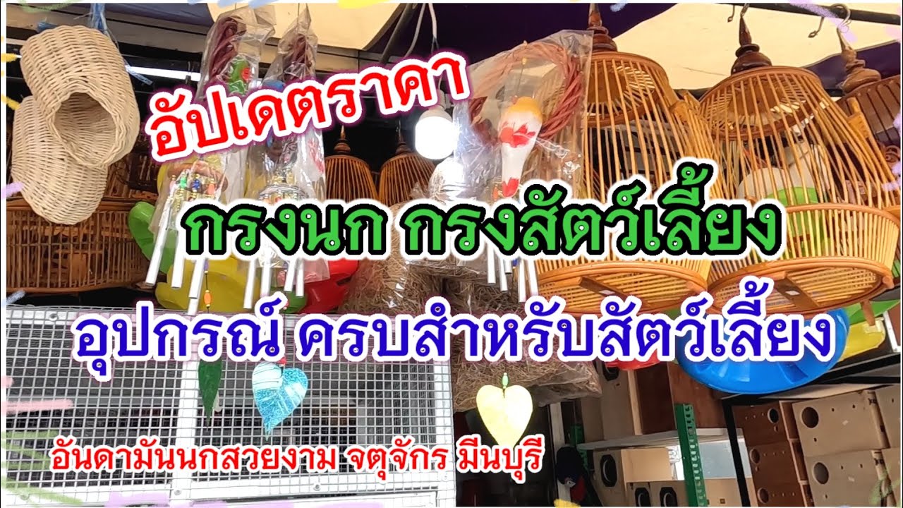 อัปเดตราคา กรงนก กรงสัตว์เลี้ยง ราคาถูก ที่จตุจักร มีนบุรี ร้านอันดามัน นกสวยงาม