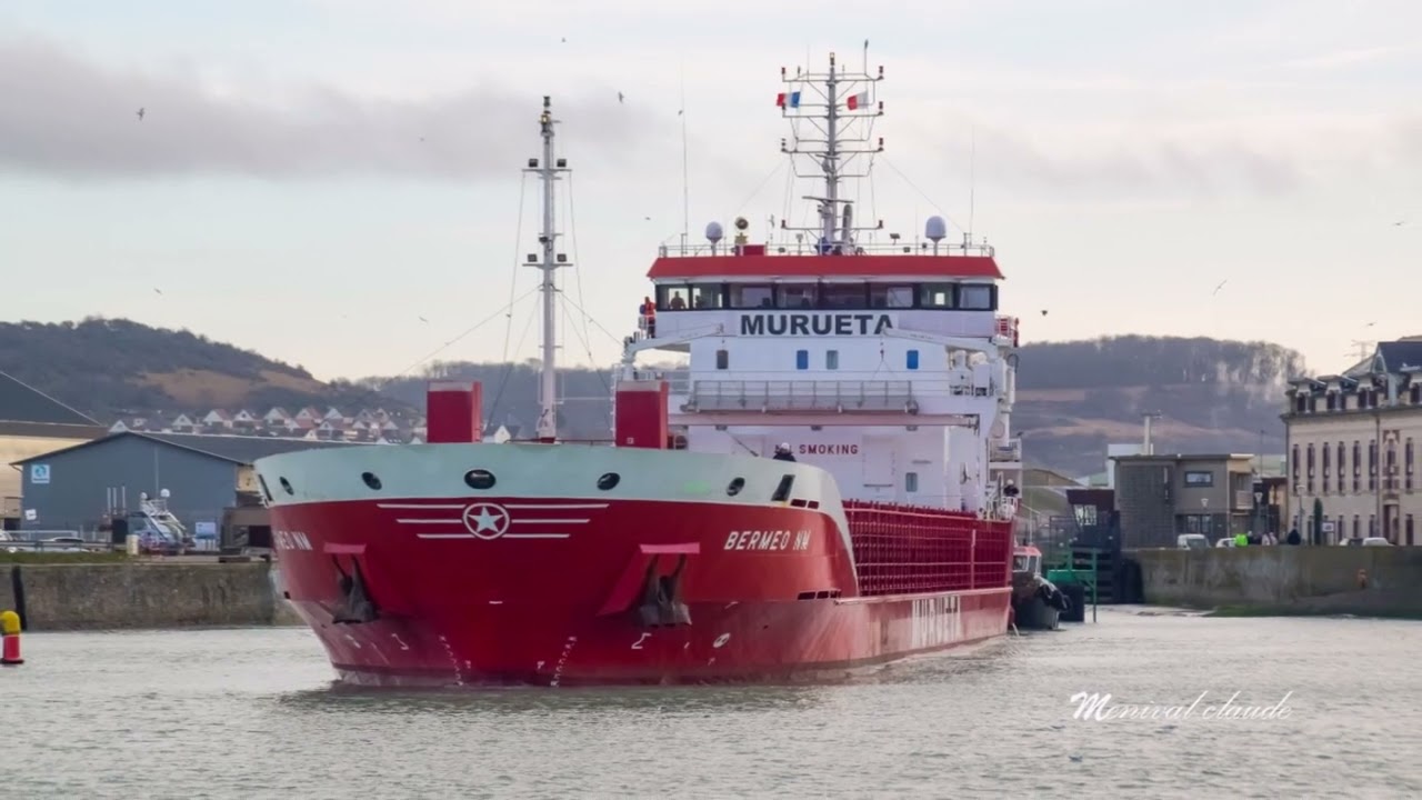 La sortie du cargo Berméo NM le matin du 31 01 2026 suivi par les goélands et les mouettes vidéo mus