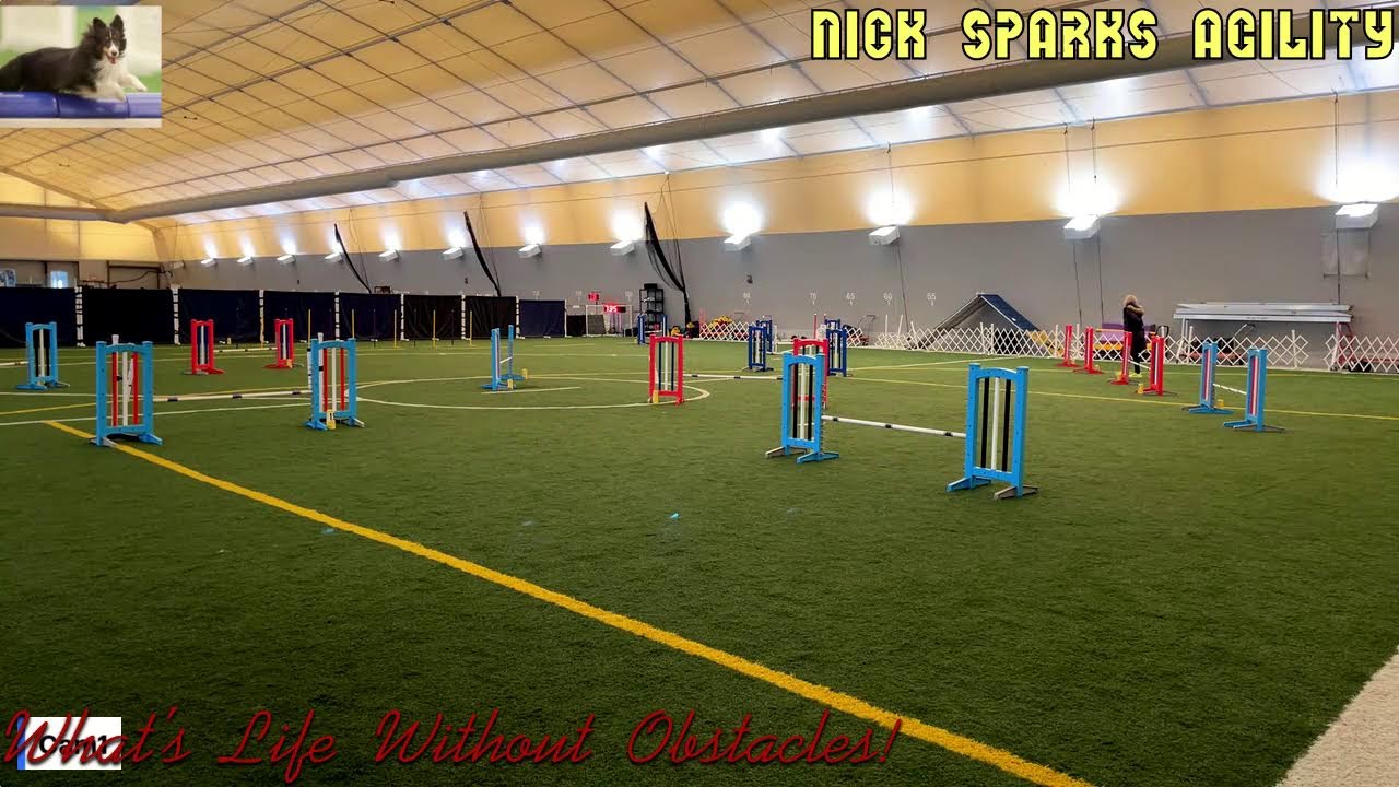 Akc. Premier Sports NJ. Sunday