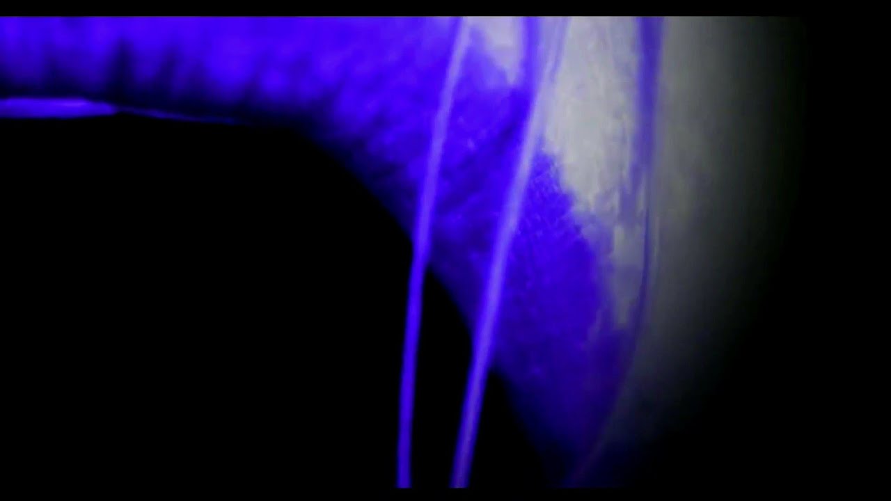 Shakira - She Wolf (El Dorado Tour: Studio Version Visuals)