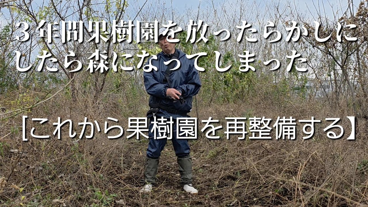 ３年間果樹園を放ったらかしにしたら森になっていた[これから果樹園を再整備する】