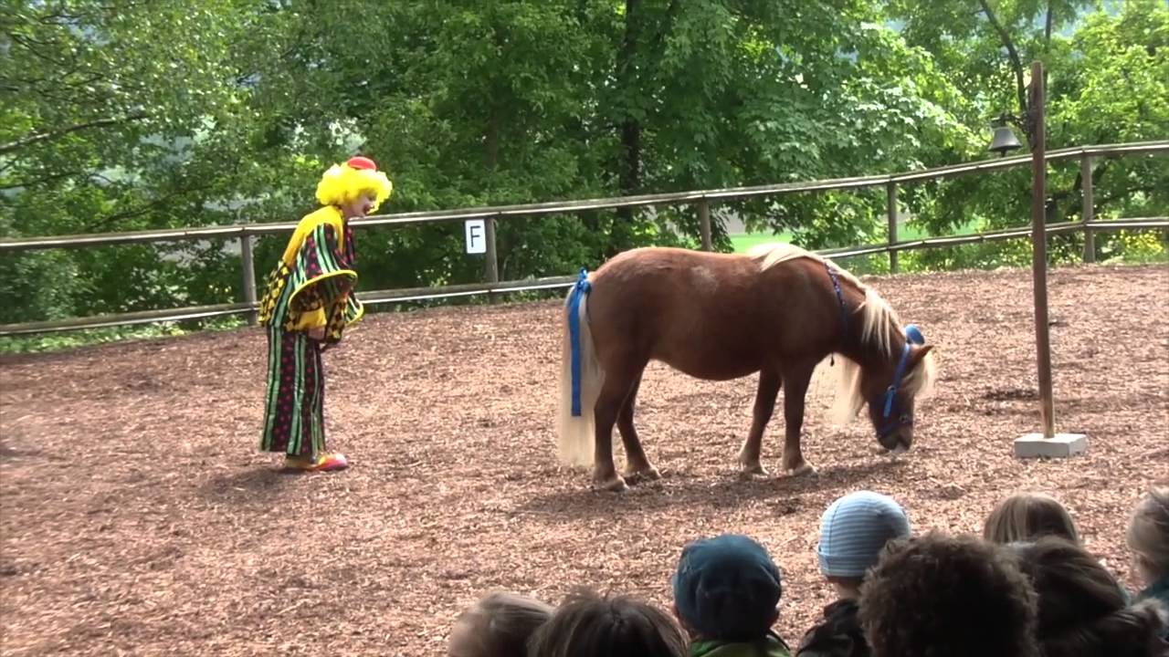 Clickertraining/Freilichttheater 2013 &bdquo;Klein aber oho&ldquo;