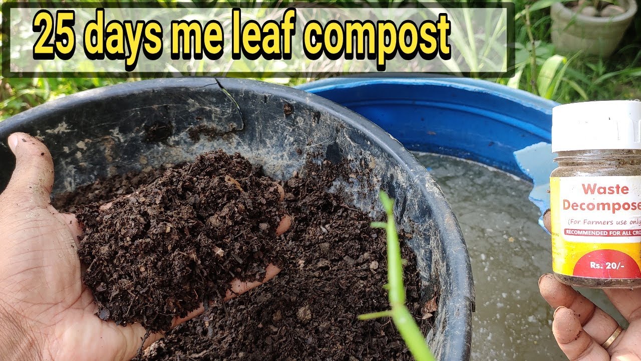 Waste item se 40 din me compost kaise banae : Waste decomposer : Tech garden