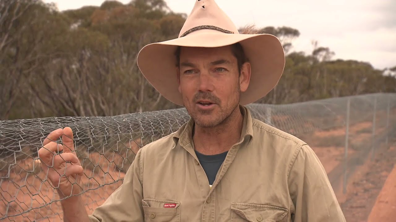 Australian made conservation fencing   Secret Rocks   Eyre SA
