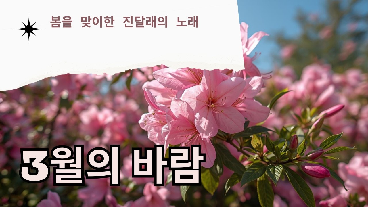 3월의 바람 진달래 노래Wind of March – Azalea Spring Song
