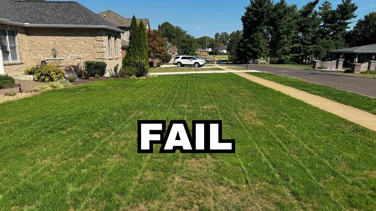 Lawn Renovation FAILURE!! Be Patient and Trust the Process.