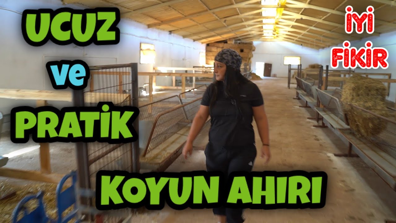 KOYUN AHIRI YAPACAKLARA UCUZ VE PRATİK BİLGİLER (Küçükbaş Hayvancılık)
