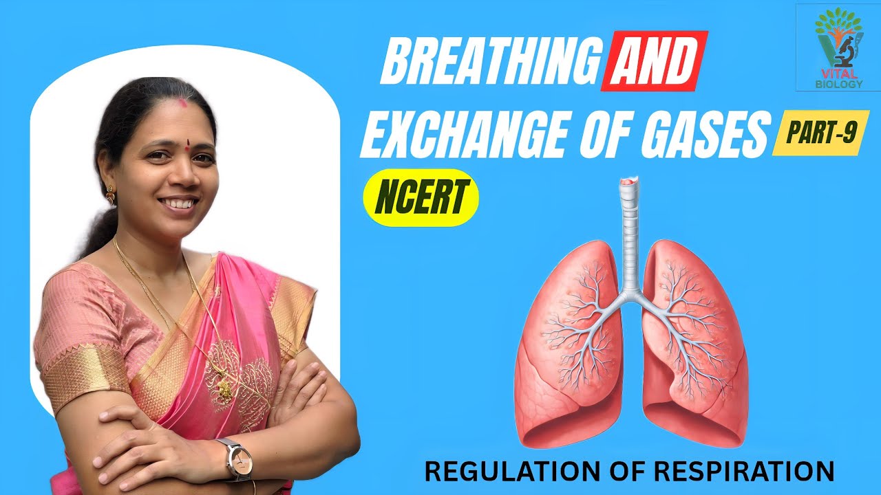BREATHING AND EXCHANGE OF GASES:[ P-9]Regulation of respiration-NCERT| 11 Biology | NEET Preparation