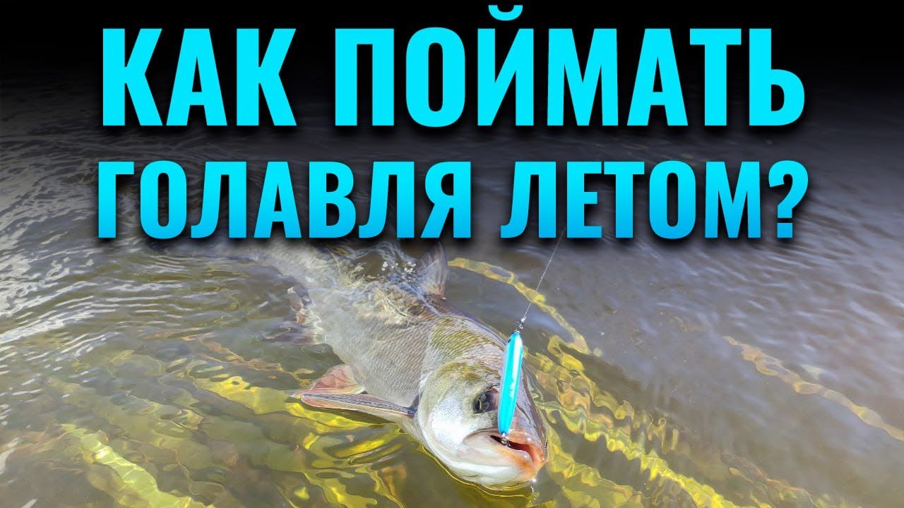 Как поймать голавля летом? | ЧАСТЬ 1