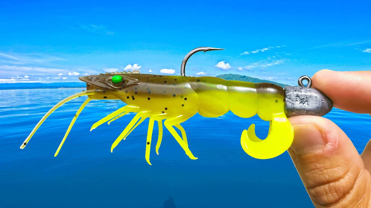 Tropical Waters Fishing for BIG Fish!