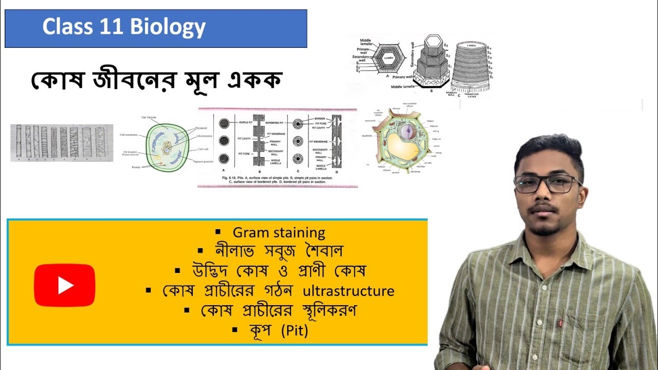 PPLO, নীলাভ সবুজ শৈবাল,  ইউক্যারিওটিক কোষ উদ্ভিদ কোষ প্রাচীর Class 11 (কোষ জীবনের মূল একক )