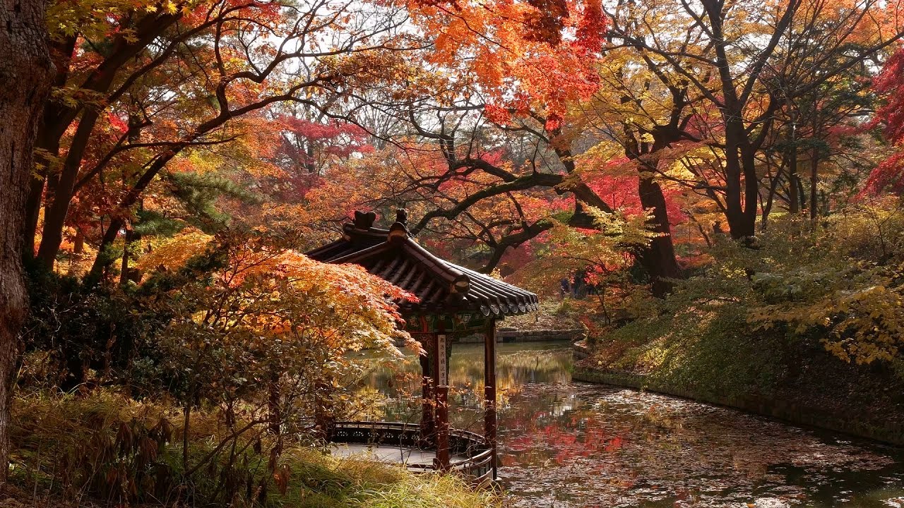 (서울여행) 창덕궁 후원과 창경궁 가을 단풍