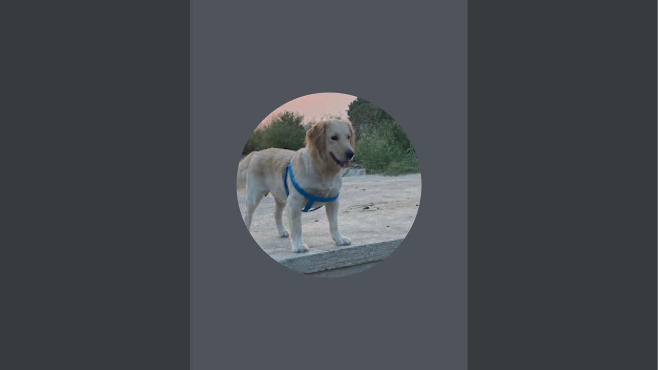 Loving kuku is live