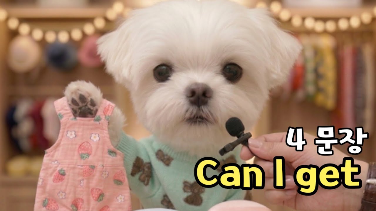 Can I get…? | 까먹기 전에 잡는 누적복습 
