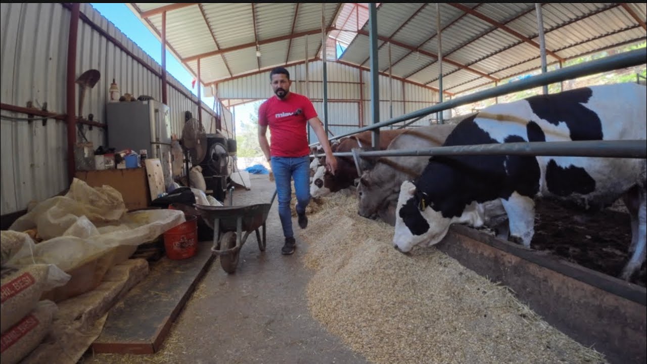 ROTA YEM İLE SERBEST YEMLEMEYE DEVAM