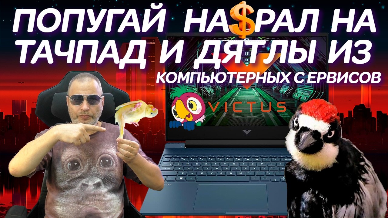 Попугай нагадил на тачпад и Дятлы из... Ремонт игрового ноутбука Victus HP Gaming Laptop 16 (2023)
