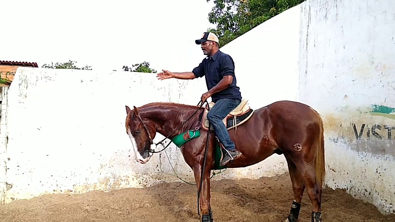 COMO ENSINAR MEU CAVALO A CORRER VAQUEJA NA MÃO CORRETA