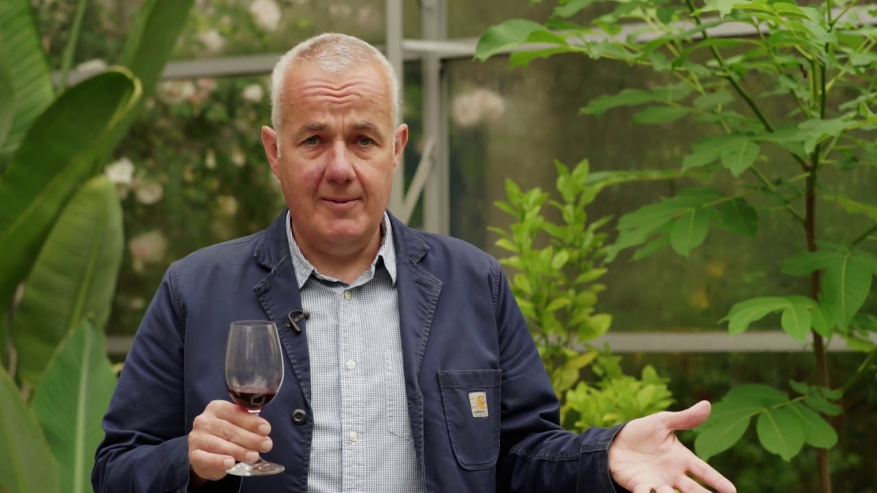 IGP Vin de Pays de l'Hérault: Domaine de La Grange des Pères - Yapp Brothers One Minute Review