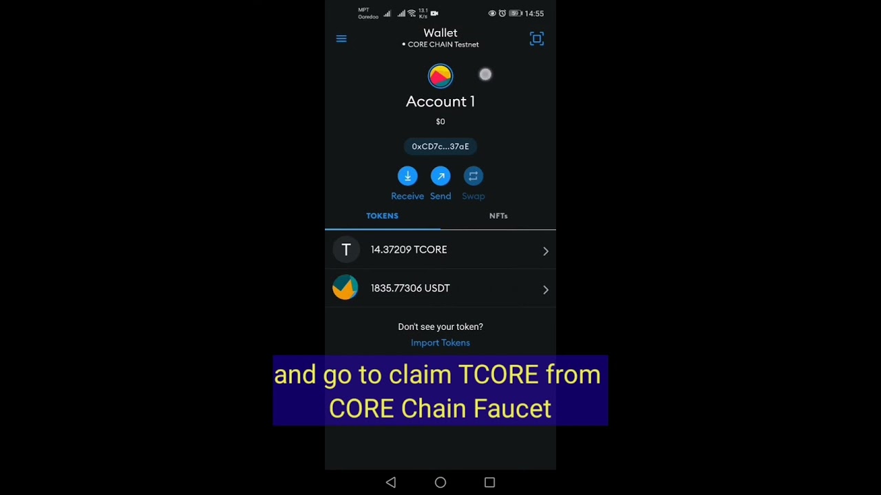 How to add Core Chain testnet to Metamask Wallet &copy; Claim tCORE on Core Chain Faucet