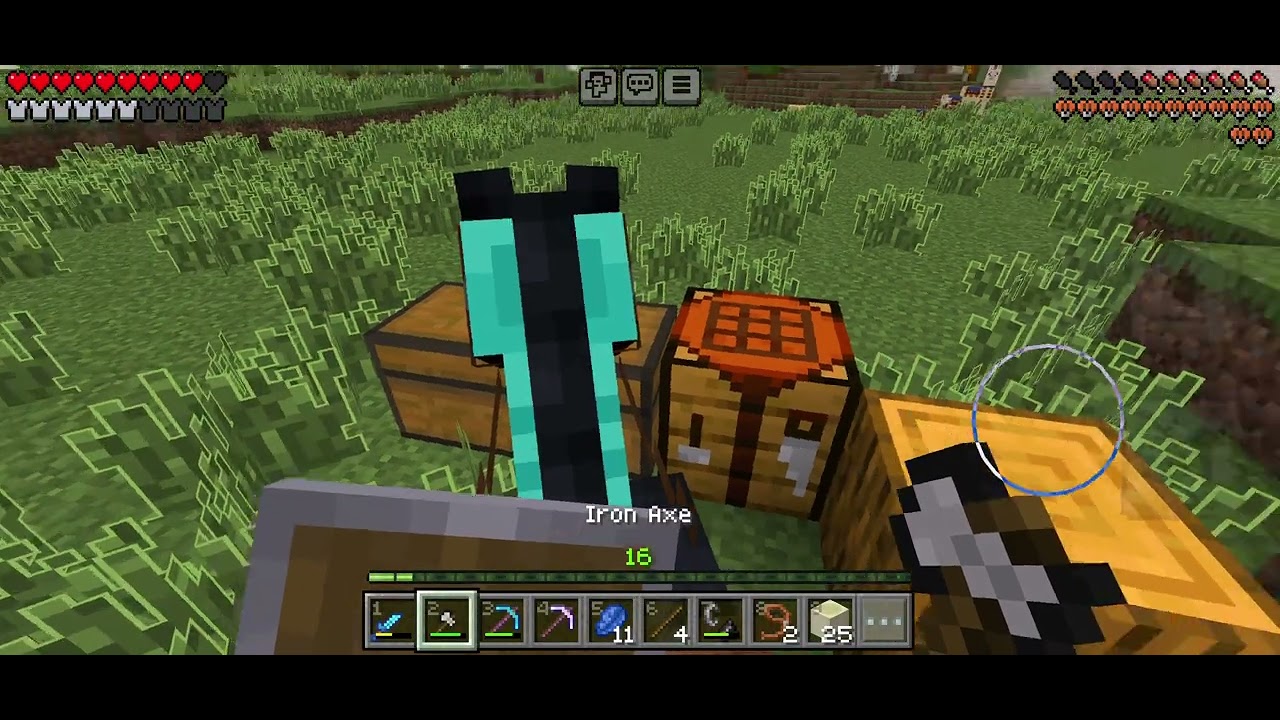 Minecraft survival farm hilee