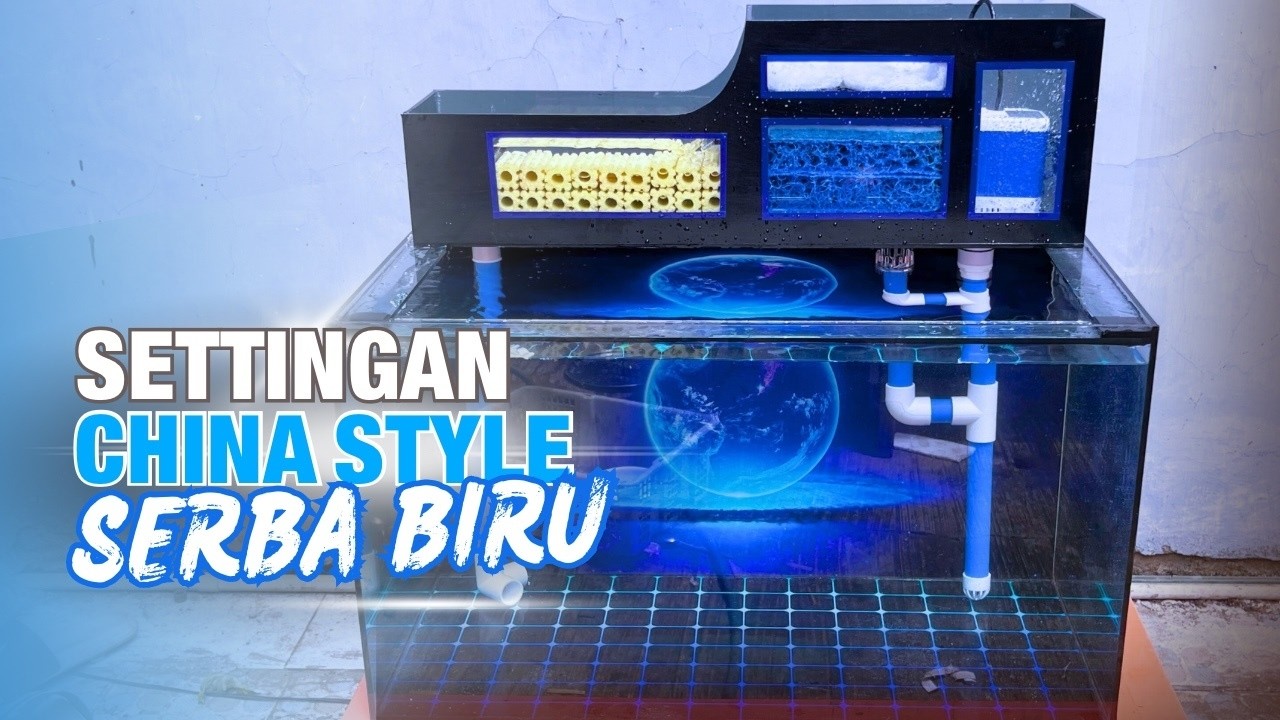Setting Dari Awal Aquarium China Style Serba Warna Biru