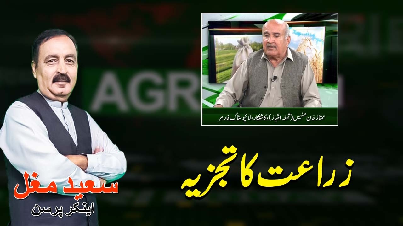 Zaraat Pr eham Tajziya | Agri Today | Saeed Mughal | Tv Today