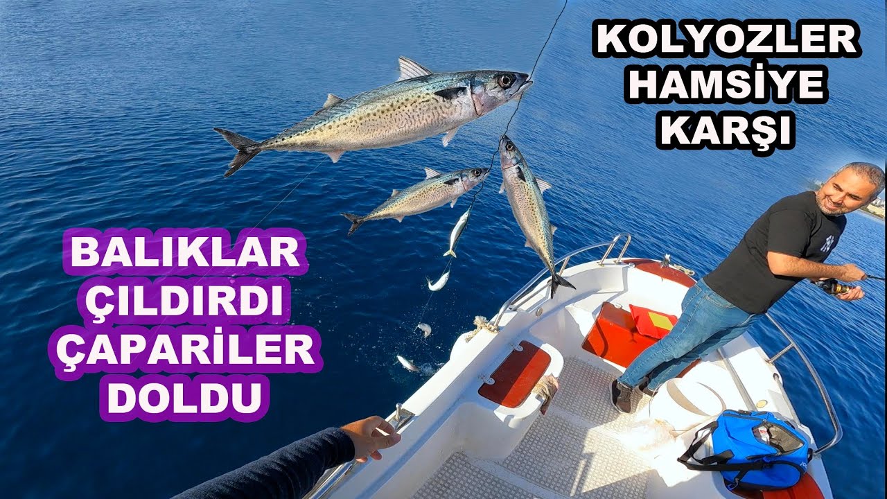 Kolyoz ve Akdeniz Hamsi’si Nasıl Yakalanır?..Biz Bu Çapari Avından Çok Keyif Aldık…
