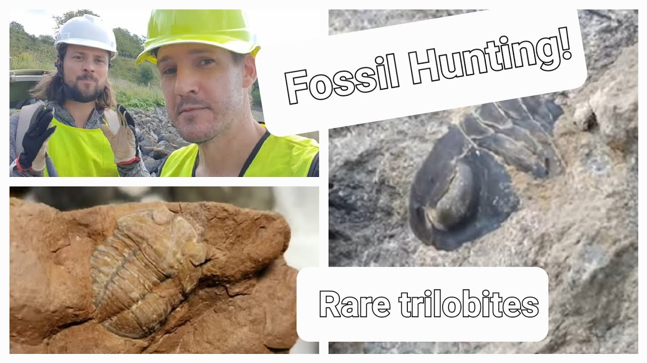 Return Of The Fossil Hunters! Super rare trilobites and amazing fossils!