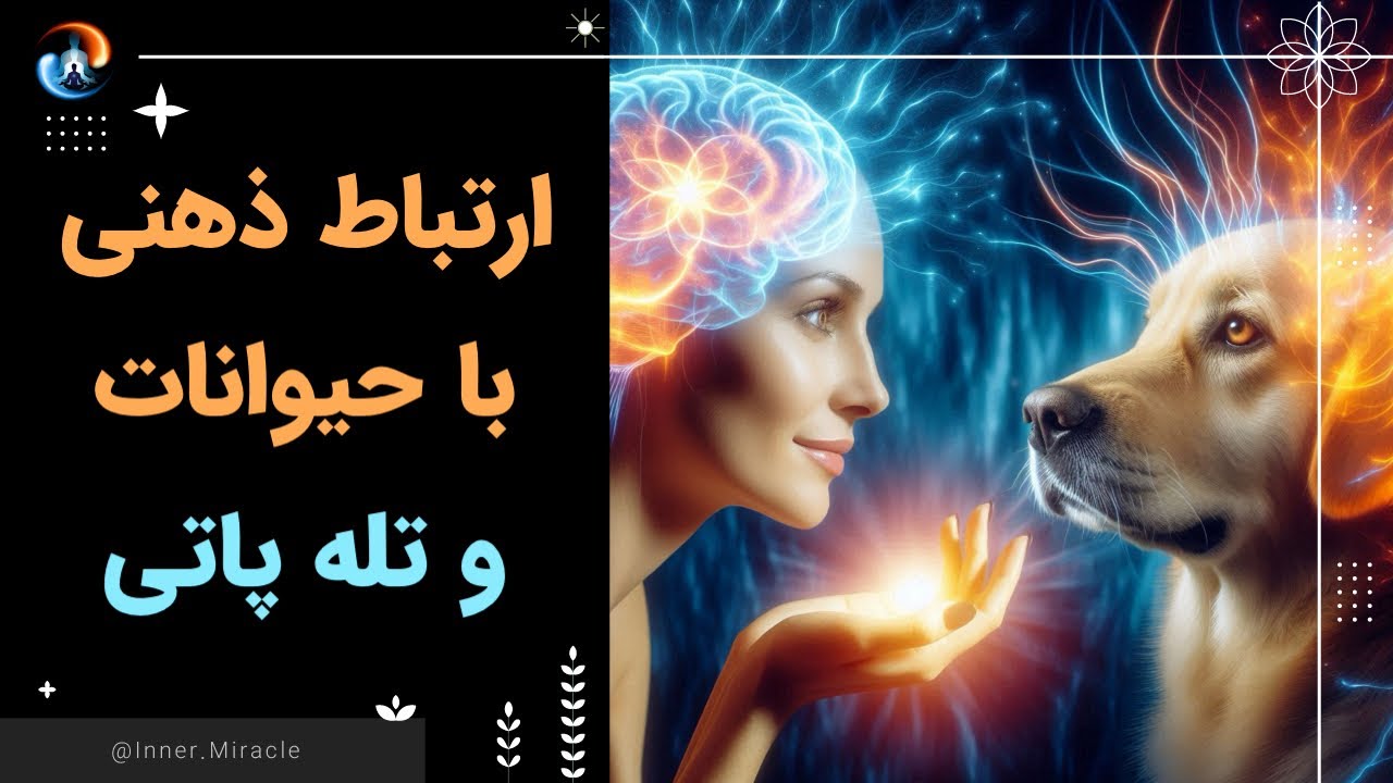 درس ۳ ارتباط از طریق ذهن و ارتباط با روح حیوانات Spirit science 3