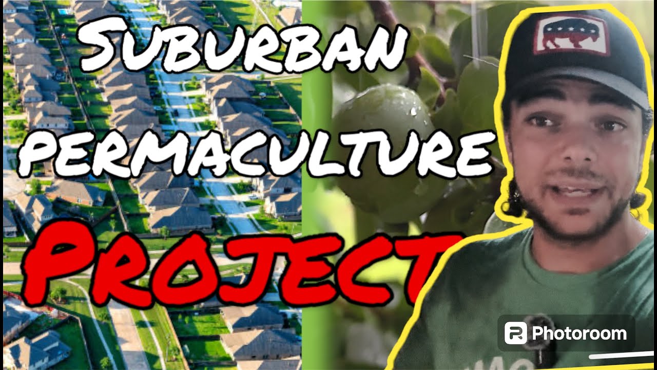 We Bought a House! Our Urban Permaculture Plan Begins