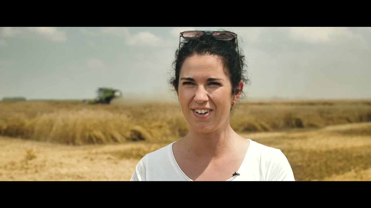 From Seed to Storage: Our Organic Oat Journey