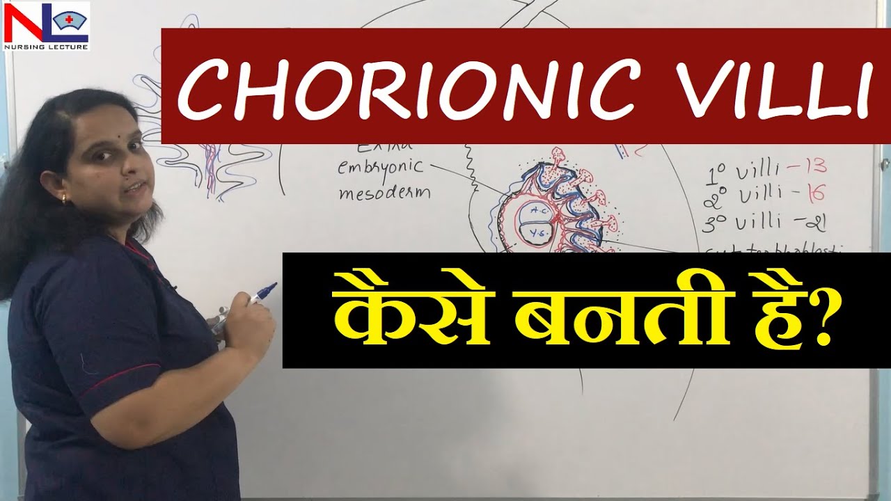 Chorionic villi in Hindi | Placenta development [Part-3] Nursing Lecture