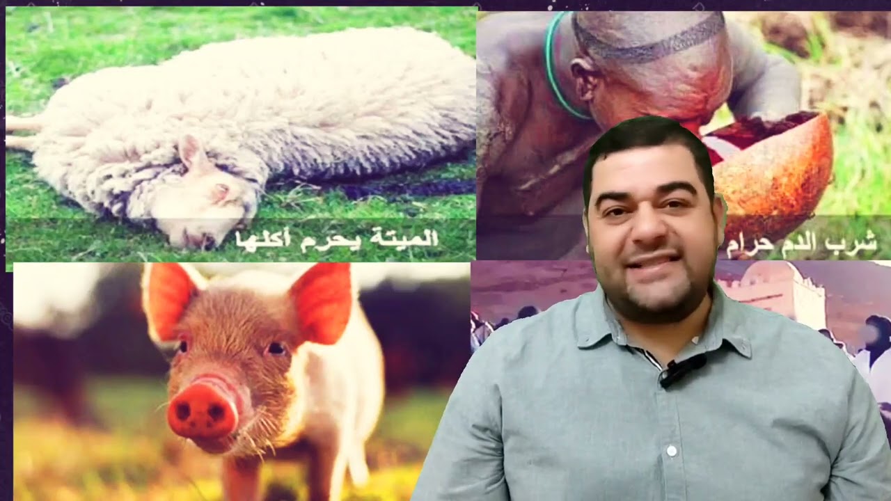 تفسير سورة البقرة ١٧٣: إنما حرم عليكم الميتة والدم ولحم الخنزير وما أهل به لغير الله فمن اضطر...